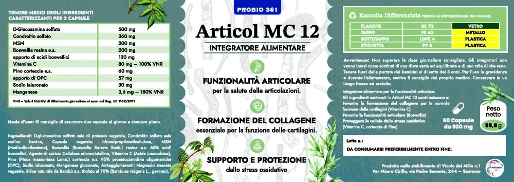 MC 12 - Articol
