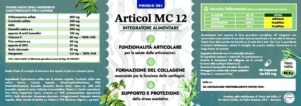 MC 12 - Articol