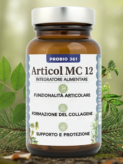 MC 12 - Articol