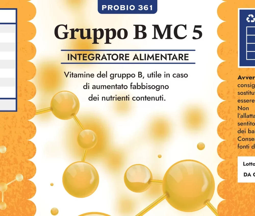 MC 05 - Gruppo B