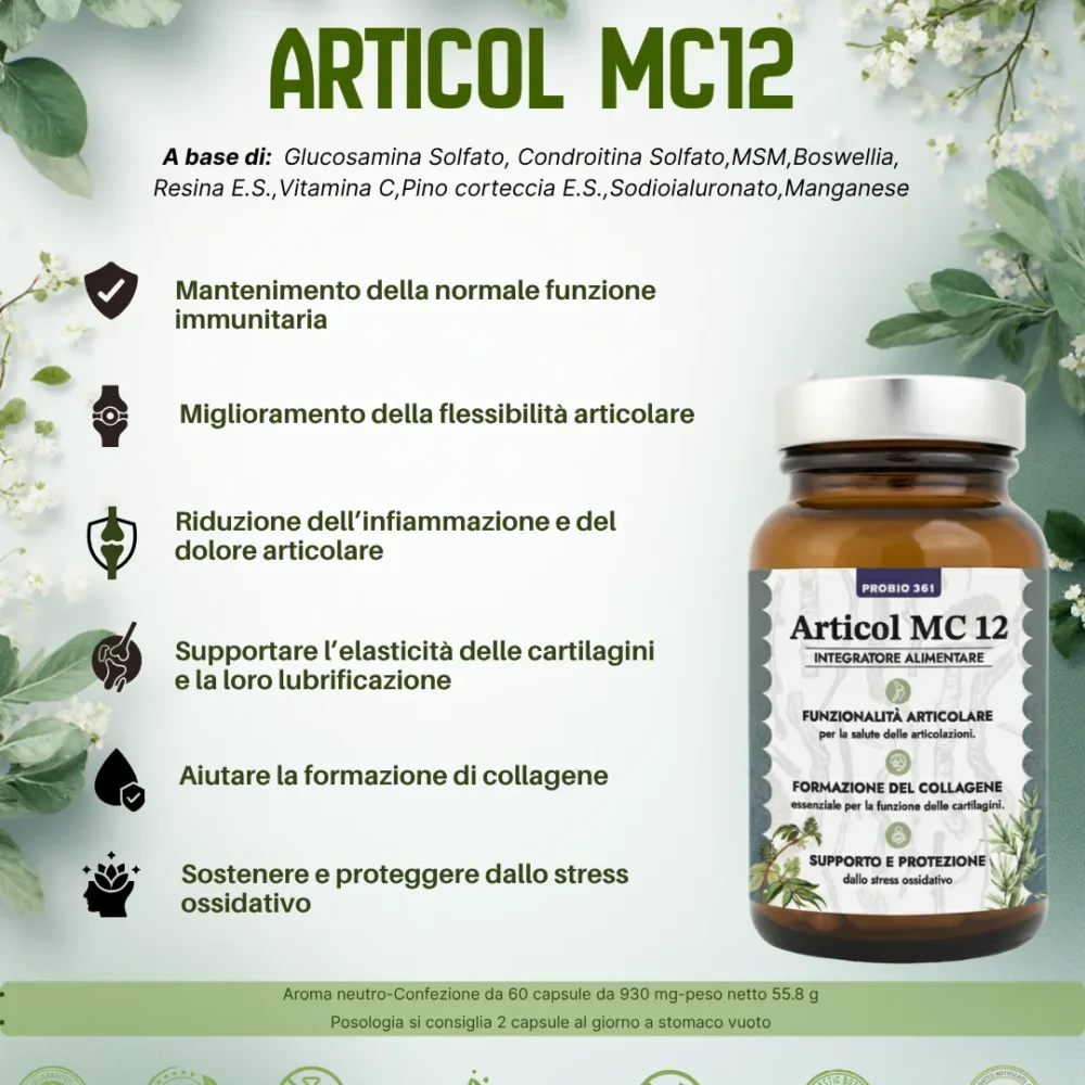 MC 12 - Articol