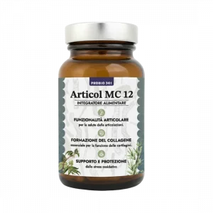 MC 12 - Articol