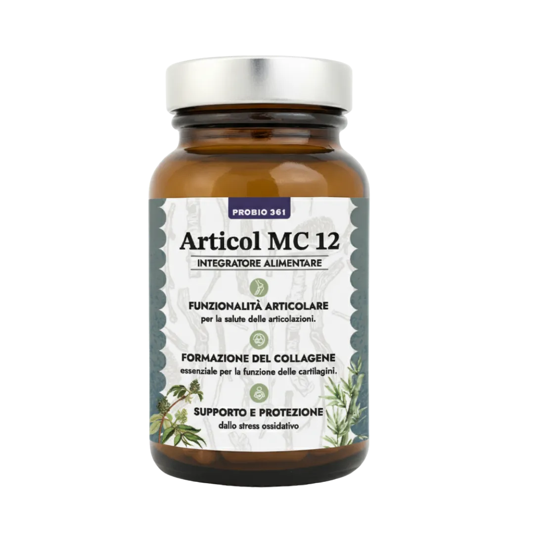 MC 12 - Articol