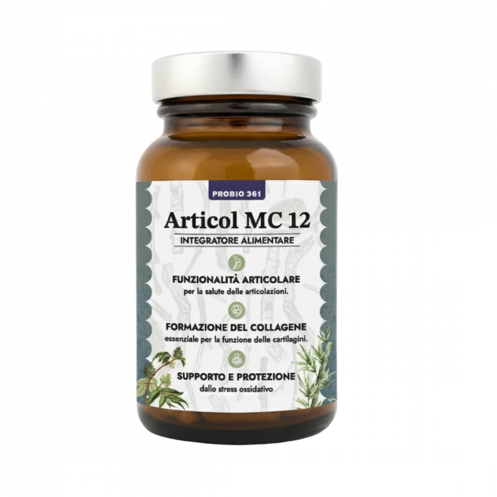 MC 12 - Articol