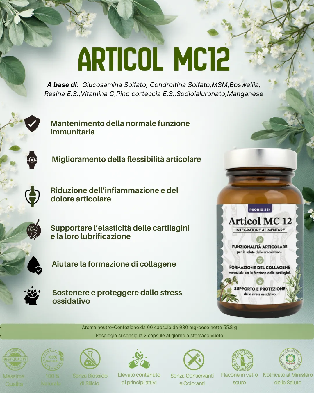 MC 12 - Articol