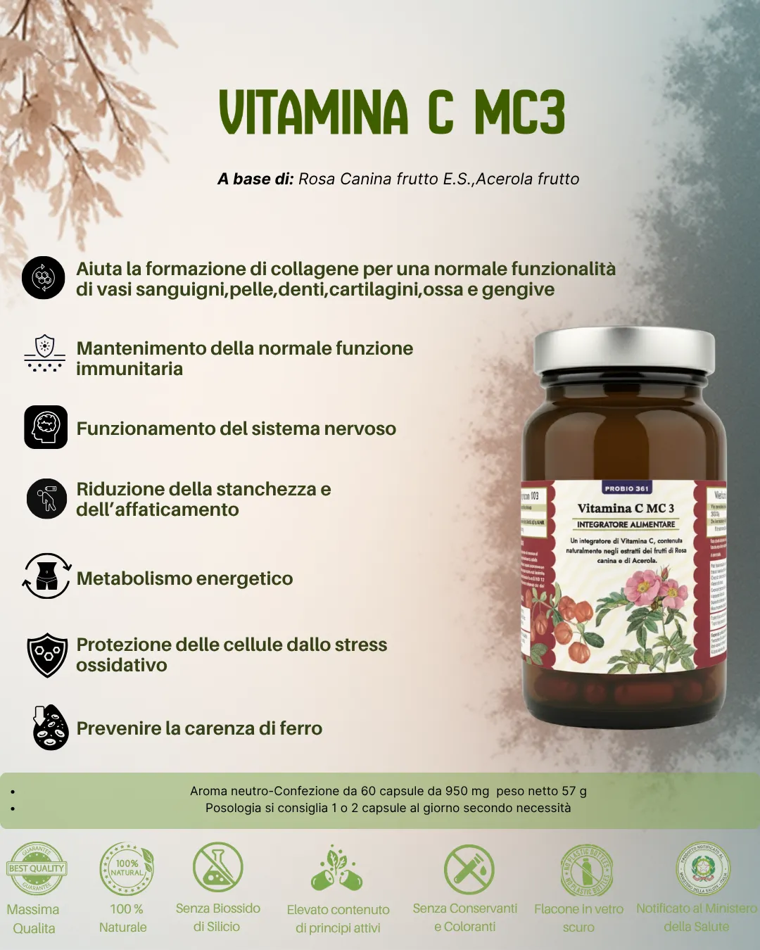MC 3 - Vitamina C