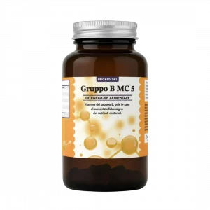 MC 05 - Gruppo B