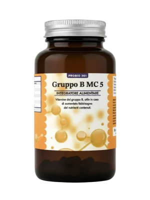 MC 05 - Gruppo B
